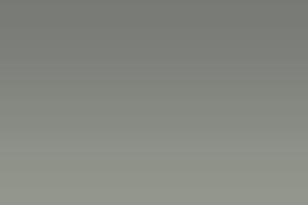 Paradigm Business Solutions