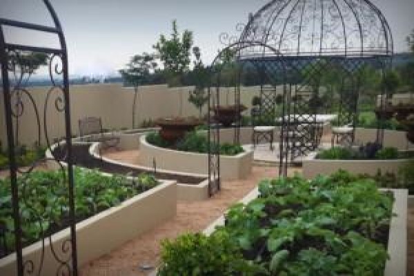 Living Green Landscapes Cc