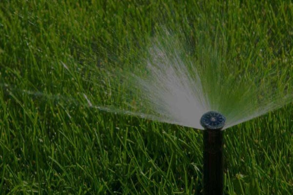 Living Green Landscapes Cc