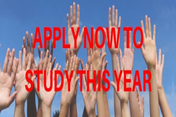 The Careers Portal