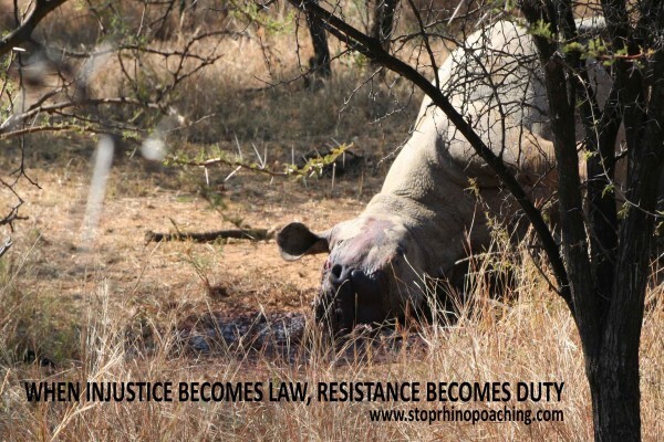 Stop Rhino Poaching