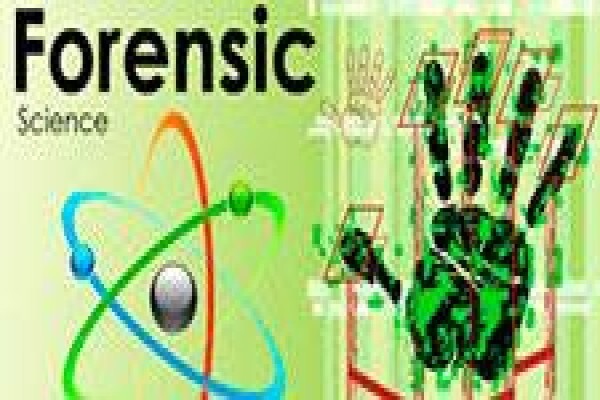 Fox Forensics