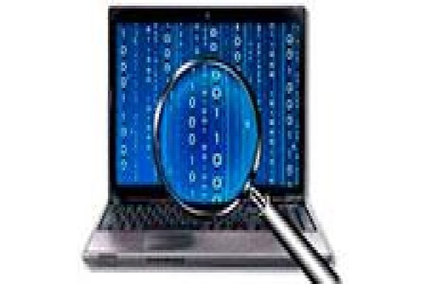 Fox Forensics