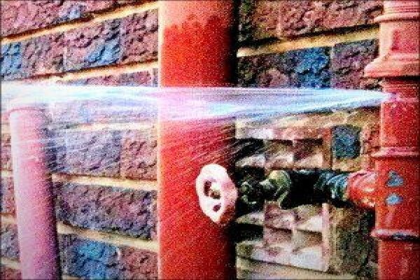 Roots Plumbing Services (Pty) Ltd