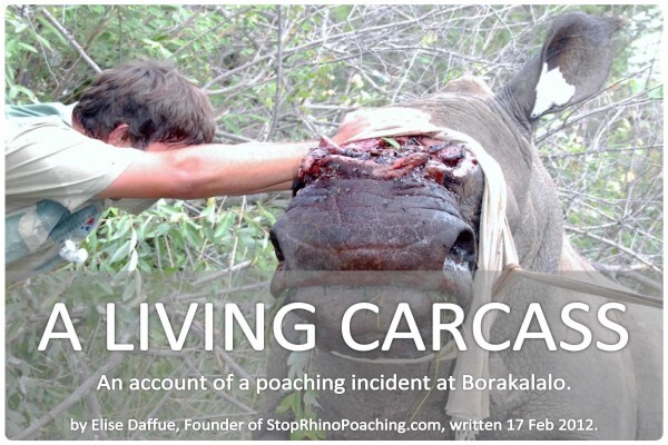 Stop Rhino Poaching