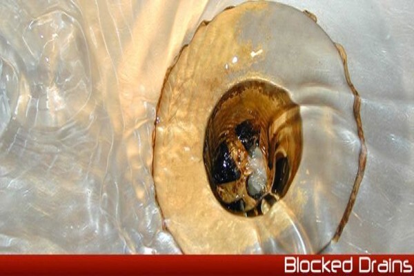 24Seven Drain Camara Inspectors