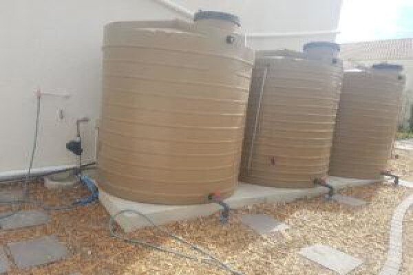 Plumb Boyz