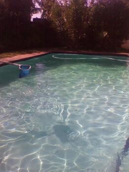Amazing Pools