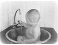 Waterbaby Plumbers