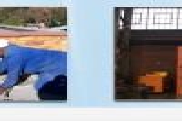 Repaint Painting Services