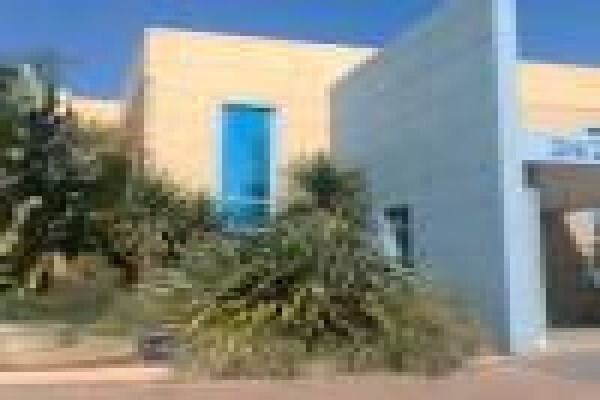 Repaint Painting Services