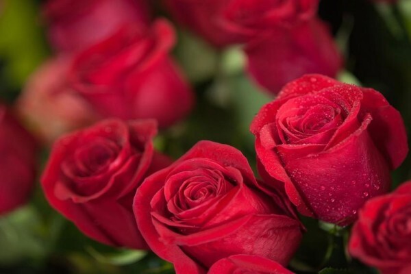 Twiggs Florist