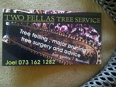 Two Fellas Tree Services