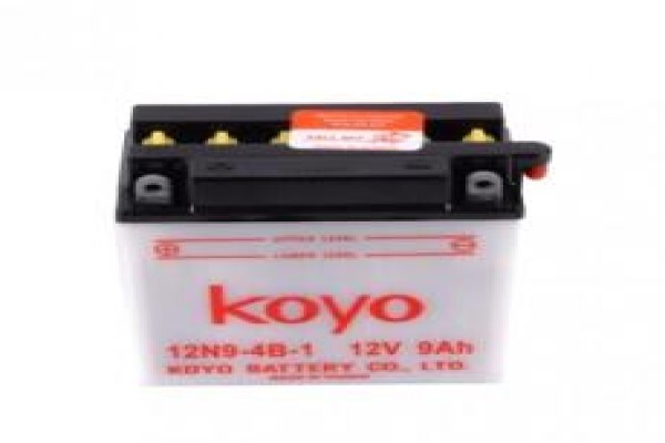 Dixon Batteries