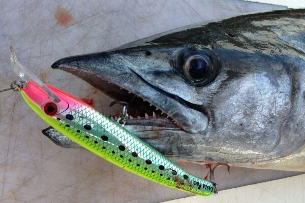 Tackle Traders