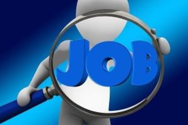 Just The Job
