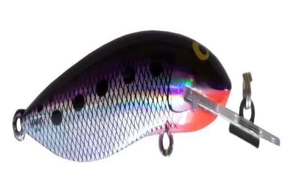 Tackle Traders