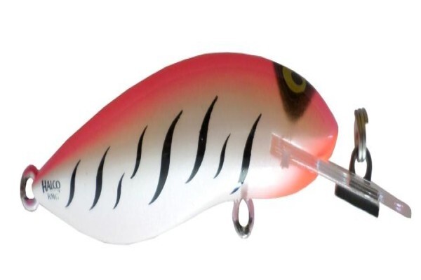 Tackle Traders