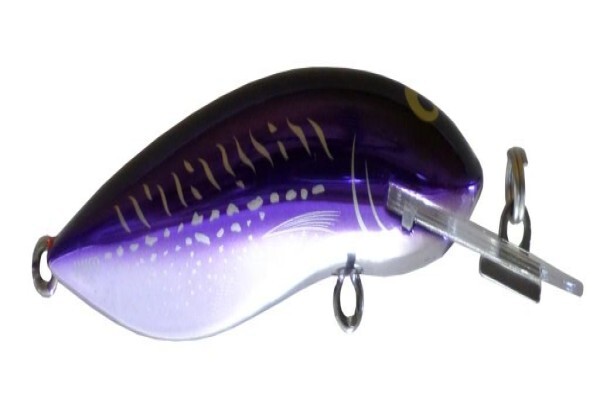 Tackle Traders