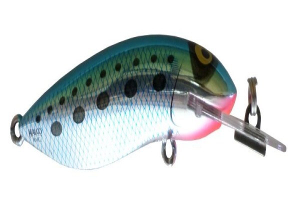 Tackle Traders