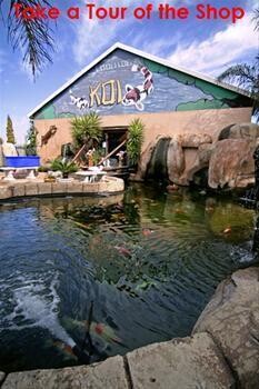 Loolilocks Koi Farms