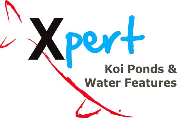 Koi
