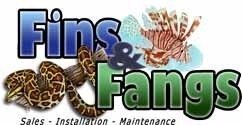 Fins And Fangs