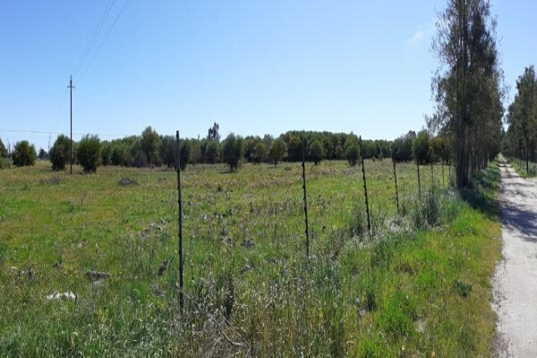 Smallholding