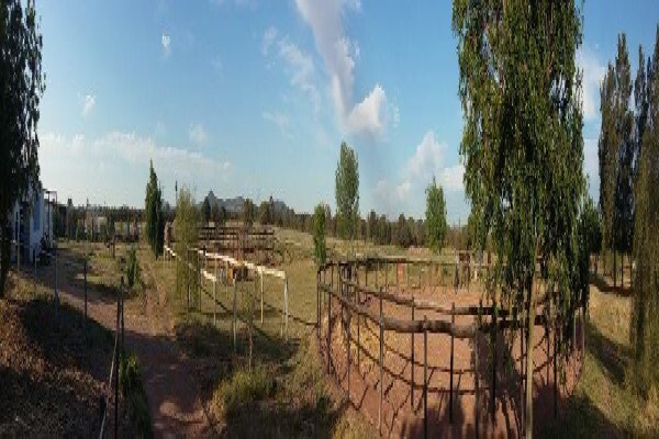 Smallholding