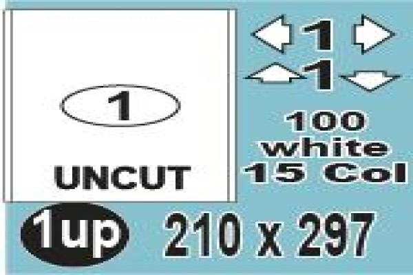 Auto Labels