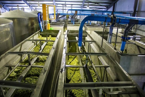 Bc Wines