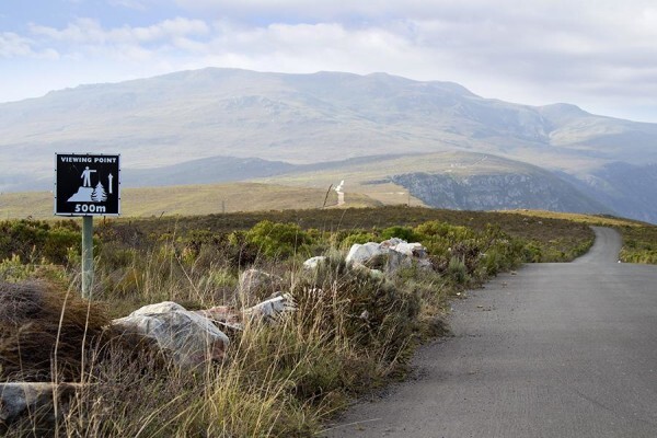 Hermanus