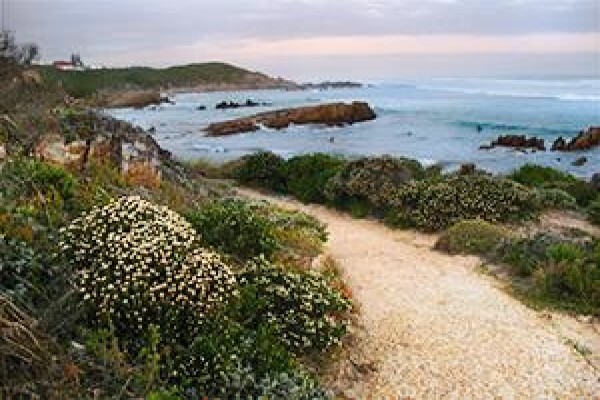 Hermanus