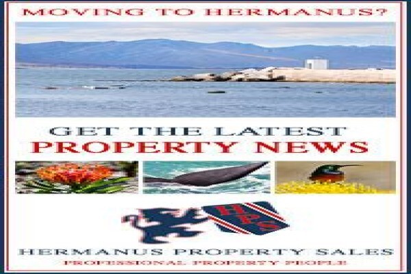 Hermanus