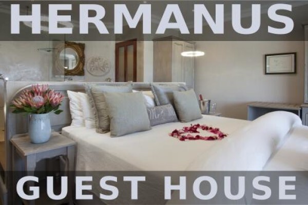 Hermanus