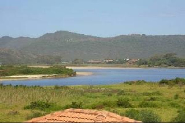 Sedgefield Real Estate - Re/Max Lakes
