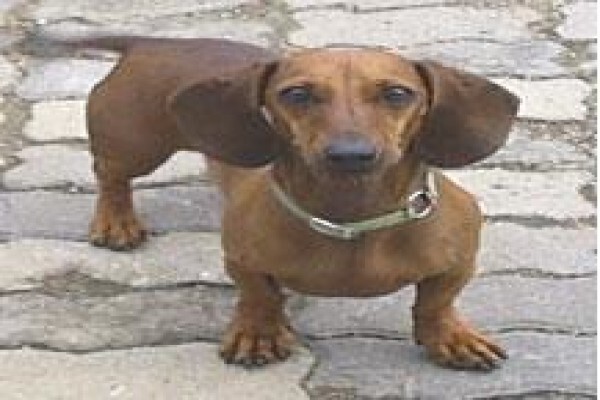 Tesca