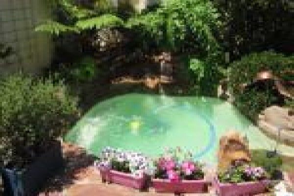 Silvertree Properties