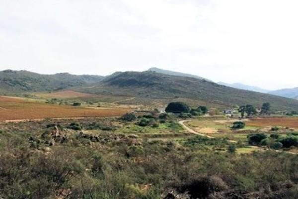 Agrisell - The Source Of Prime Property