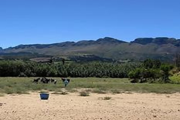 Farms South Africa
