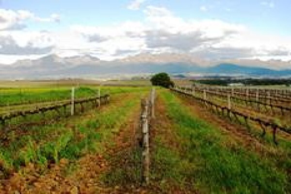 Farms South Africa