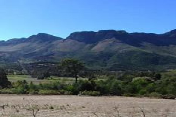 Farms South Africa