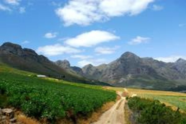 Farms South Africa