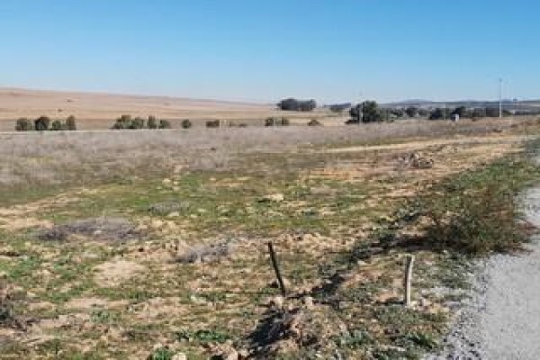 Nick Geldenhuys Property Group