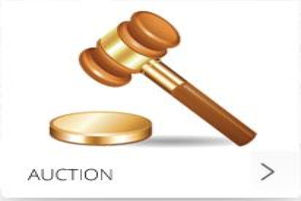 Auction Marietjie Keet Auctioneers