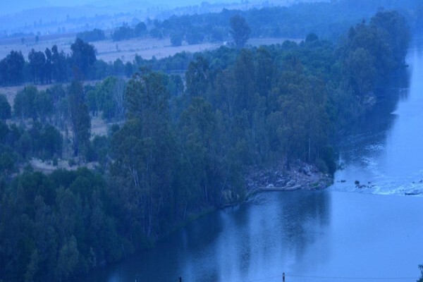 Liz Charles Estates