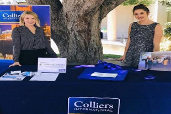 Colliers
