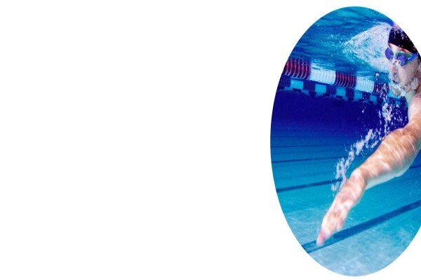 Widelko