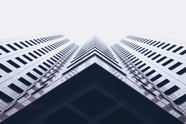 Black Pepper Properties