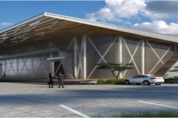 Black Pepper Properties